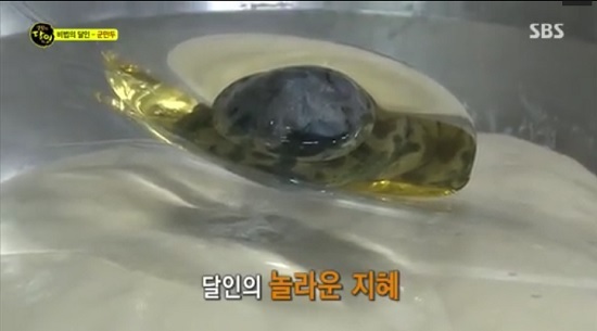 대구 5대 만두집<어랑 전통 생 손만두> 만두피의 비밀공개, 생활의 달인