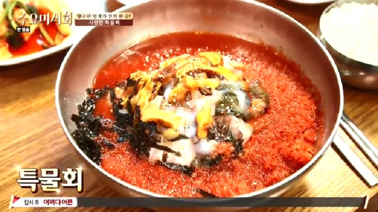 수요미식회 물회맛집.. 포항특미물회, 강원도물회 완도회식당, 성수동 죽변항