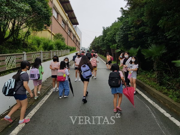 전남 완도중앙초, 내가 먼저 인사하는 행복한 학교생활 캠페인 실시