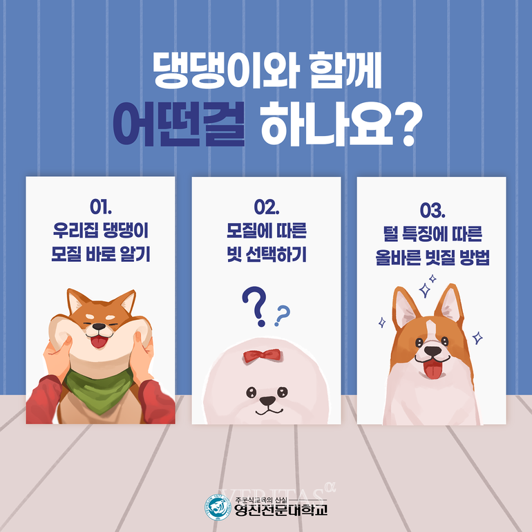 펫케어과 신설 앞둔 영진전문대, 우리집 반려동물과 행복하게 살기 특강, 온/오프라인 서비스