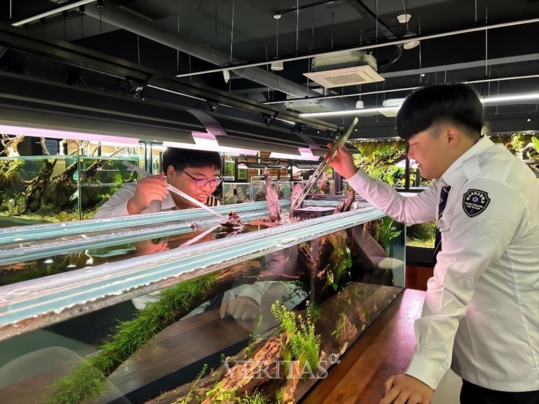 전남 완도수산고 아쿠아스케이프(Aquascape) 정규 교육과정 편성 운영