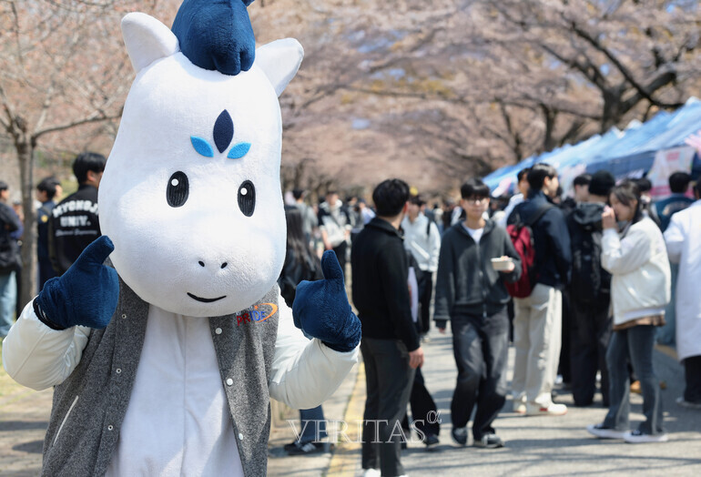명지대 2025학년도 자연캠퍼스 벚꽃축제 개최
