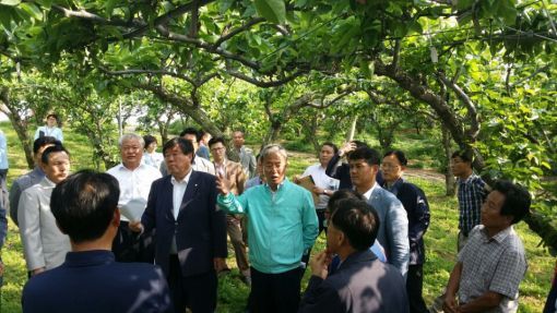 배 과수원 피해 점검하는 국회의원들