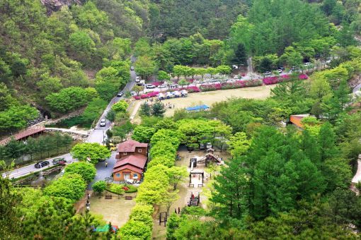 고산자연휴양림
