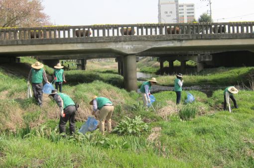 대상(주)순창공장, 순창 양지천서 환경정화활동