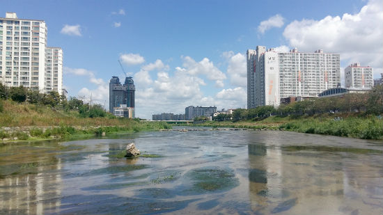 전주 삼천의 가을하늘