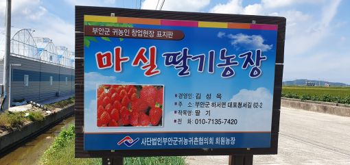 <귀농귀촌 기획> 마실딸기농장 운영 김성옥, 김효정 부부