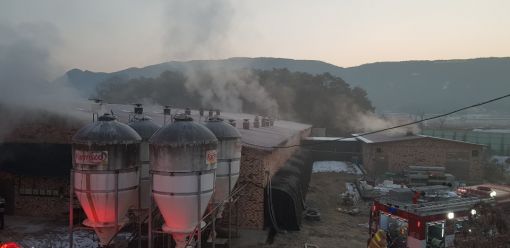 순창 한 돼지농장에서 불 나 8000만 원 상당 재산피해 발생