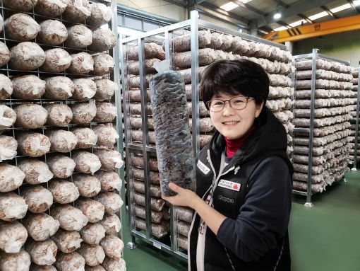 봄스토리친환경농업회사법인(주), 표고버섯시장 우수성 입증