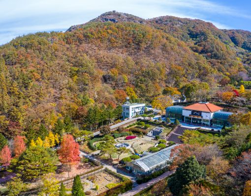 내장산·대아수목원…전북 단풍 10월 23일 절정