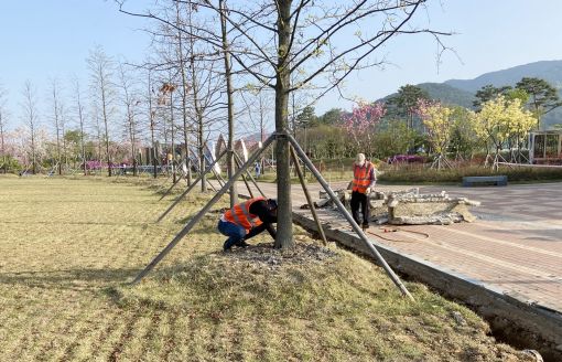 정읍시, 체육·관광시설 내 조경수 관리 총력