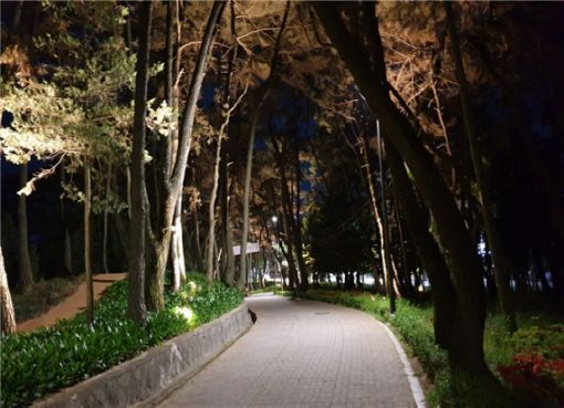 익산 배산공원 새단장… 나무숲 터널·야간경관 조성