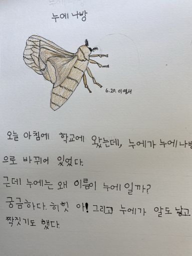 목화로 사계절 마을 나들이 3탄