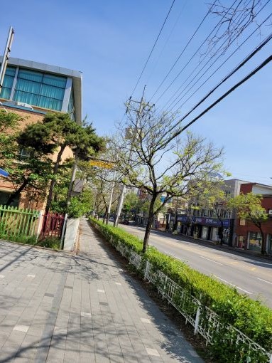 전주시 전신주 지중화사업 시행 여론 비등