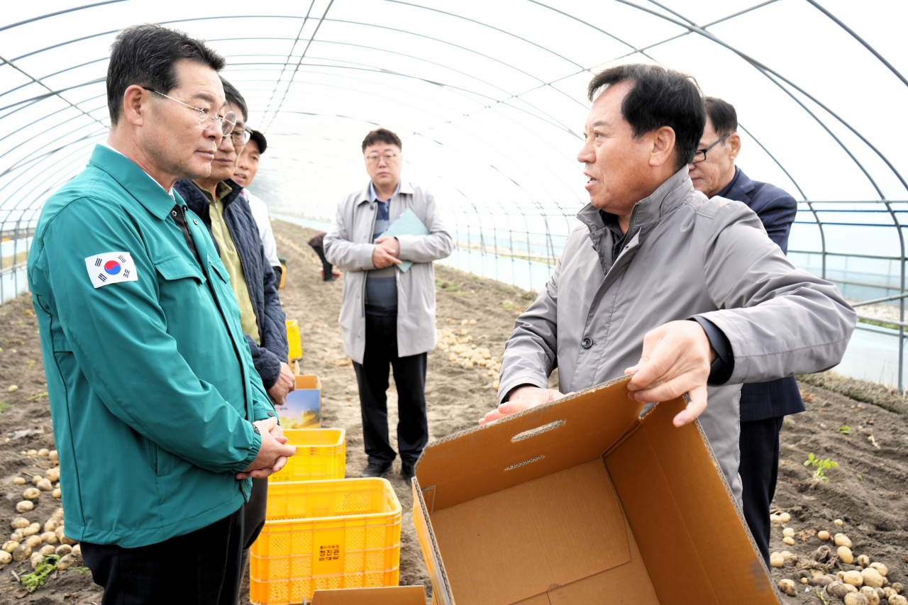 권익현 부안군수, 동진면 부안노을감자 수확현장 방문