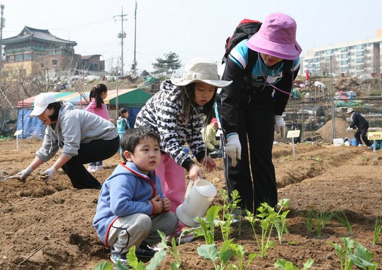 강동구, 가족 먹거리 우리 손으로