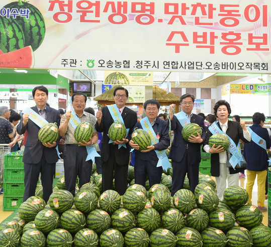 아삭·시원  ‘충북 맛찬동이’ 수박이요~