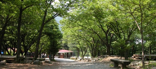 3월에 가볼만한 산 유명산
