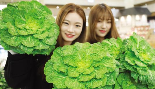 “입맛 돋우는 봄동 어때요”