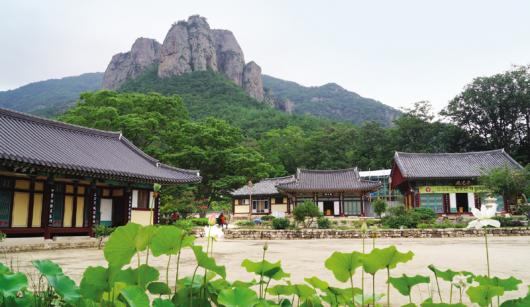 [장갑수와 함께 걷는 길] 외씨버선길 1구간 (주왕산·달기약수탕길)