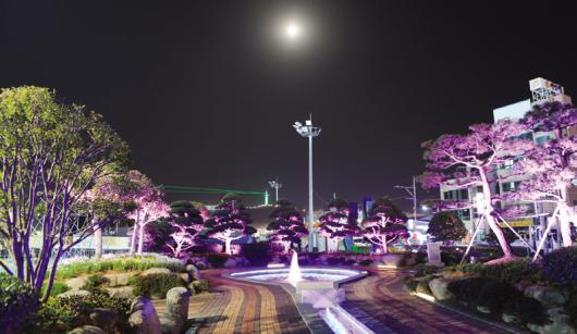 “완도 밤바다 구경 오세요”