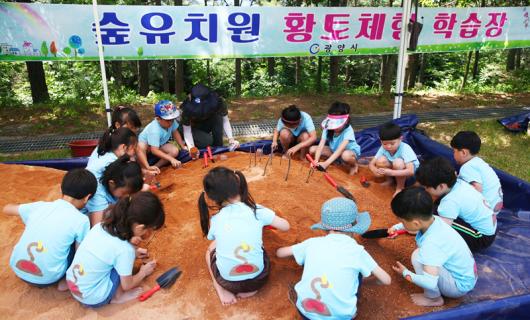 광양 자연과 교감 ‘숲 유치원’ 인기 만점