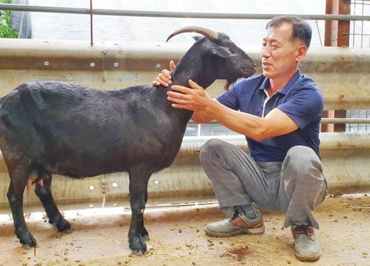 국내 첫 흑염소 친환경 유기축산물 인증 ‘눈길’