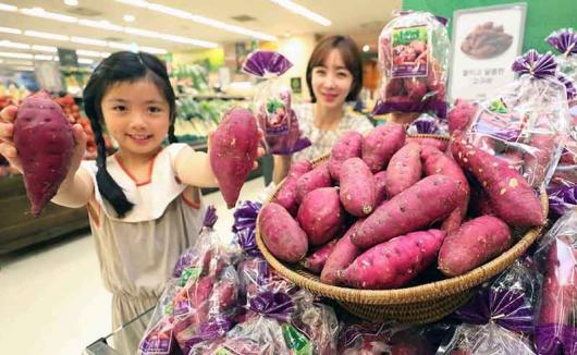 해남산 햇고구마 맛 보세요