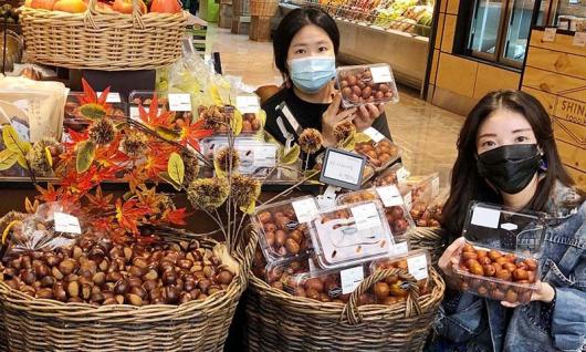 햇밤·사과대추 맛보세요