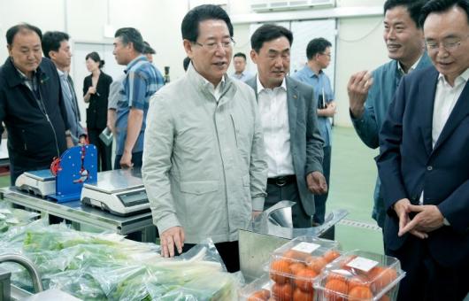 金지사, 장마 후 친환경농산물 판매 동향 점검