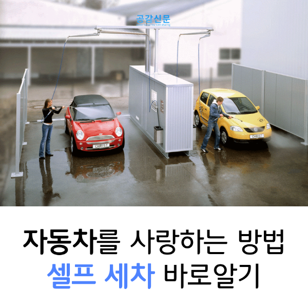 [공감신문] 자동차를 사랑하는 기본적인 방법, 셀프 세차 바로알기
