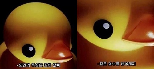 [공감신문] 인간의 욕심으로 멸종한 동물들