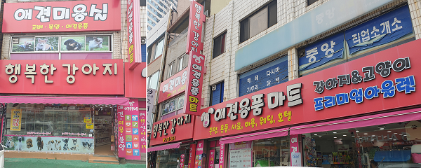 목포 행복한강아지, 애견분양부터 호텔·미용·용품까지…믿고 맡길 수 있는 서비스 제공하는 애견 토탈샵