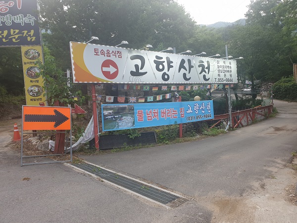 장흥맛집  고향산천 유원지계곡식당  라이브연주이벤트