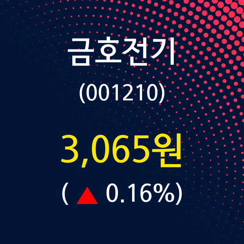 금호전기 주가정보 및 주식시황 23일  현재 3065원