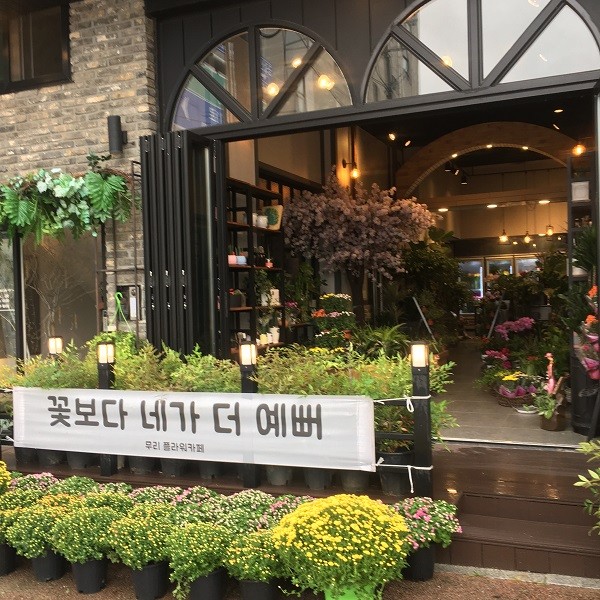 공주 카페 무리카페, 꽃과 커피 향기에 취하는 플라워카페 데이트코스 가볼만한곳