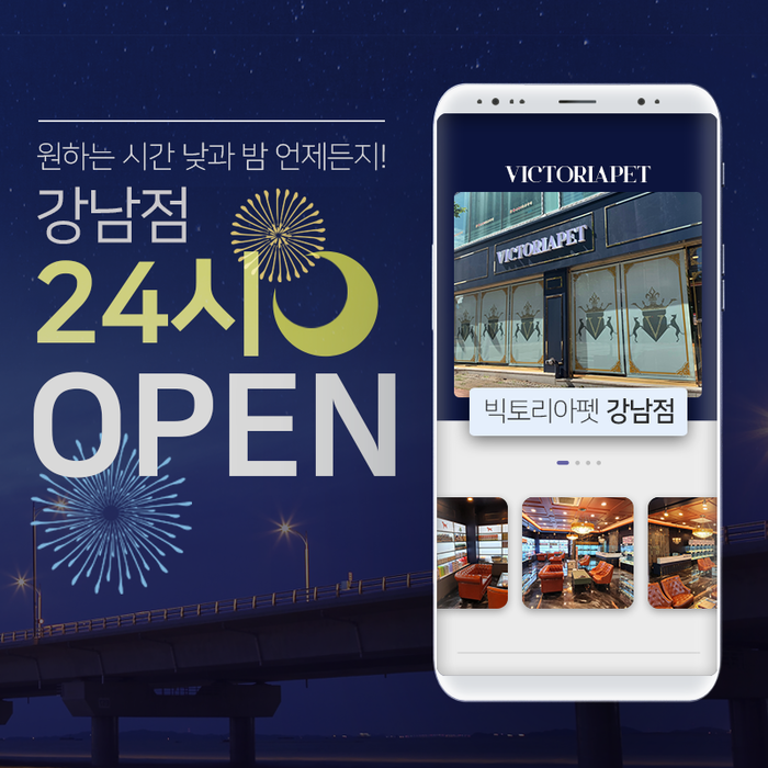 빅토리아펫 강남역점, 24시간 연중무휴 운영에 이어 야간 입소 가능으로 시선 집중