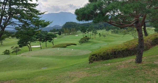 국내 골프장 성황 속 골프회원권 시세도 상승, 부산 초원회원권거래소