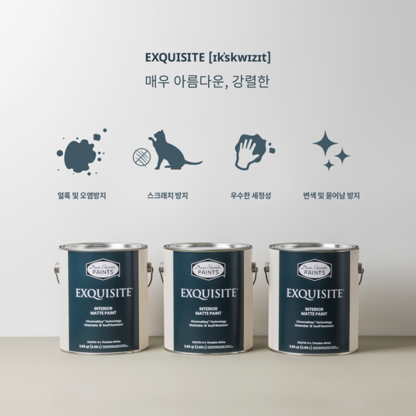 던 에드워드, 프리미엄 인테리어 페인트 익스퀴짓 라인 강화