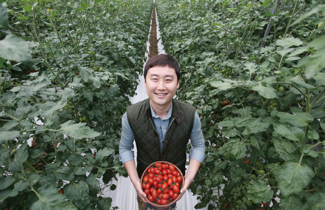 [6차산업의 기수들] ‘기똥차게?’ 맛있는 토마토 만드는 ‘브랜드 파머’ 그래도팜 원승현 대표 | 노력은 누구나 다 한다. 결국은 맛이다. 