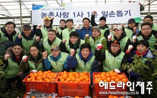 (주)농협유통, 서귀포서 감귤 수확 일손돕기