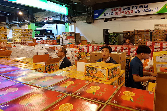 제주감귤 출하 시작...첫 경락가 10kg 2만3900원 쾌조