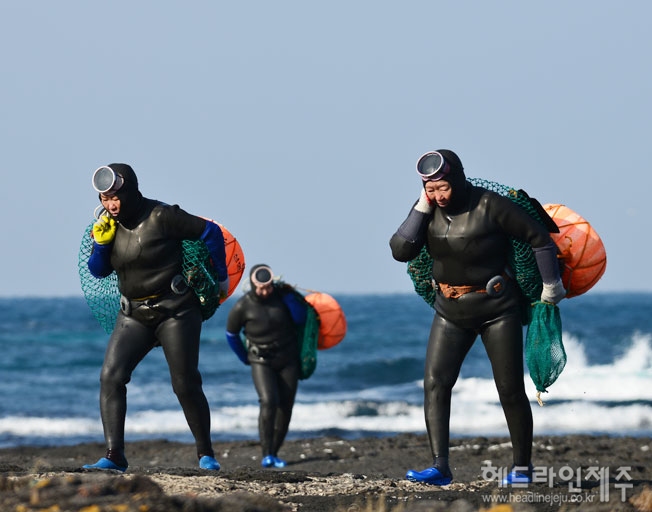 제주 해녀문화 가치 전국화...문화트레킹, 체험프로그램 연중 운영