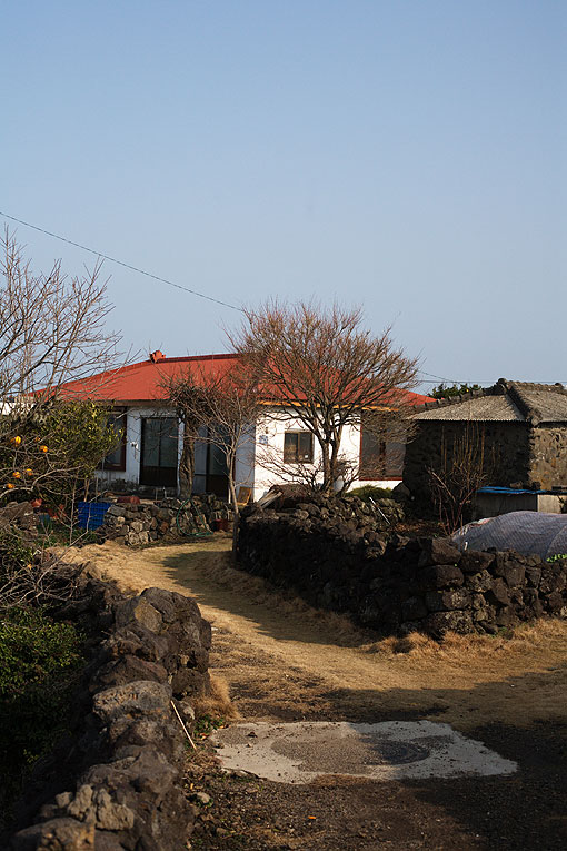 사진그룹 여행과 치유, 제주시 중산간 마을 사진전 개최