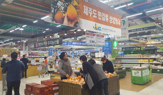 제주농협, 전국 하나로마트서 제주산 월동작물 판촉