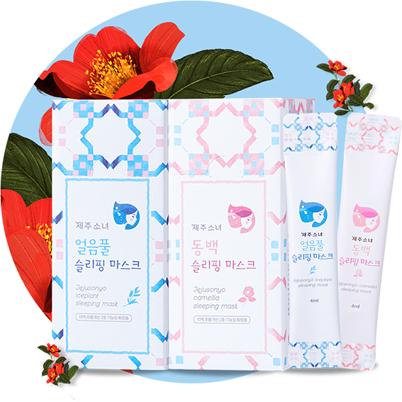 제주도 지원 맞춤형 창업기업, 매출·고용·수출 쑥쑥~