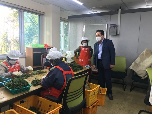 안덕면장, 노인공동작업 쑥작업장 격려 방문