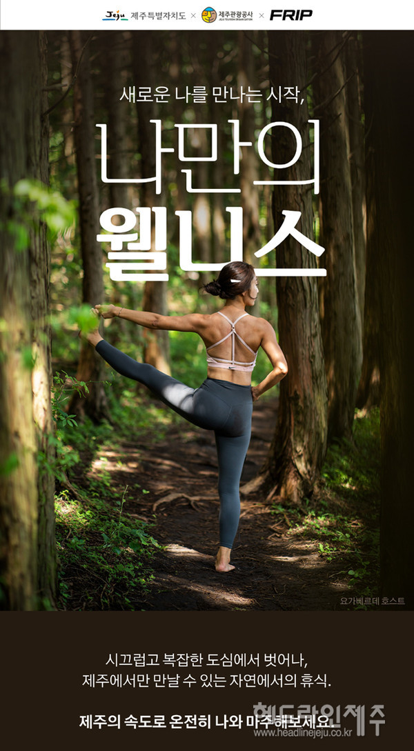 제주의 여름 숲속-해변서 즐기는 웰니스 힐링 프로그램 오픈