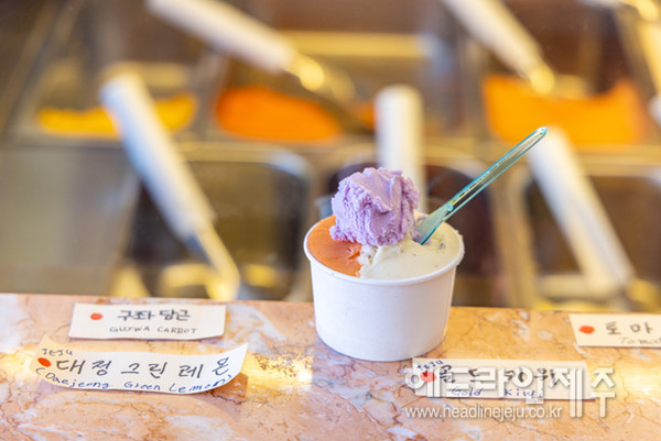 올 겨울 제주도 마을 산책여행, 대정읍을 소개합니다
