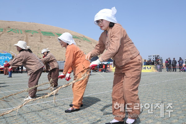 제주들불축제, 집줄놓기 경연...최고 고수는 누구일까